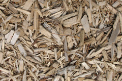 biomass boilers Llandissilio